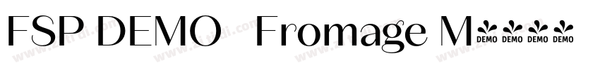 FSP DEMO   Fromage M字体转换